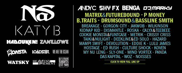 Line Up Announcement for NASS Festival 2013